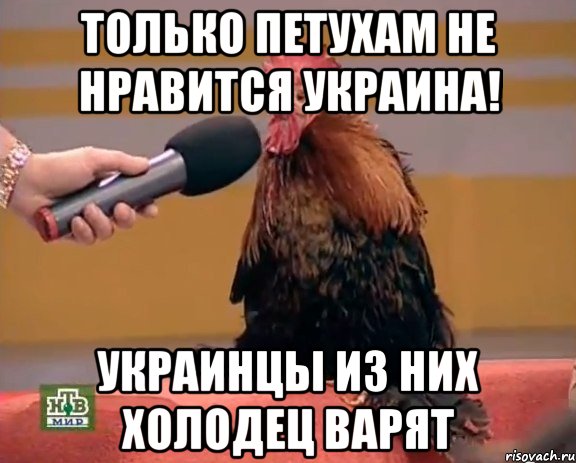 только петухам не нравится Украина! украинцы из них холодец варят, Мем петух