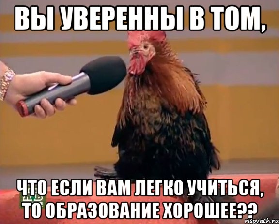 вы уверенны в том, что если вам легко учиться, то образование хорошее??, Мем петух