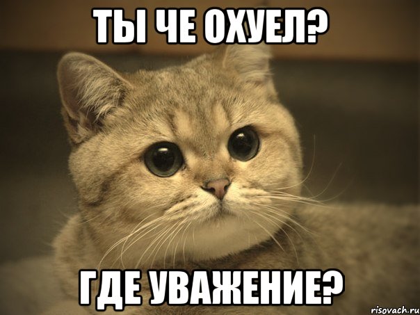 Ты че охуел? где уважение?