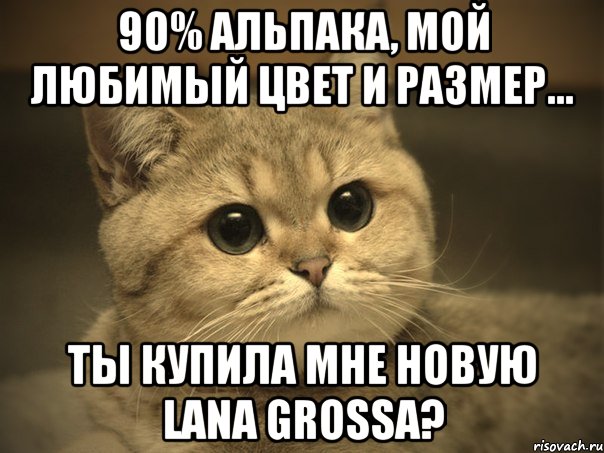 90% АЛЬПАКА, МОЙ ЛЮБИМЫЙ ЦВЕТ И РАЗМЕР... ТЫ КУПИЛА МНЕ НОВУЮ LANA GROSSA?, Мем Пидрила ебаная котик