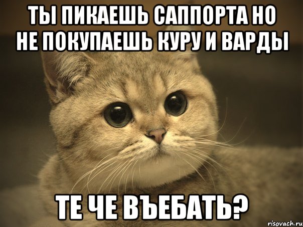 ты пикаешь саппорта но не покупаешь куру и варды те че въебать?, Мем Пидрила ебаная котик