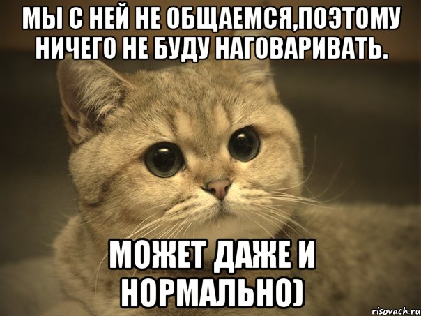 Мы с ней не общаемся,поэтому ничего не буду наговаривать. Может даже и нормально)