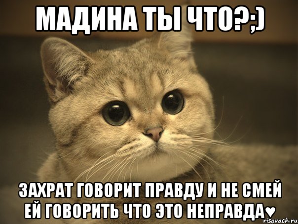 мадина ты что?;) захрат говорит правду и не смей ей говорить что это неправда♥, Мем Пидрила ебаная котик