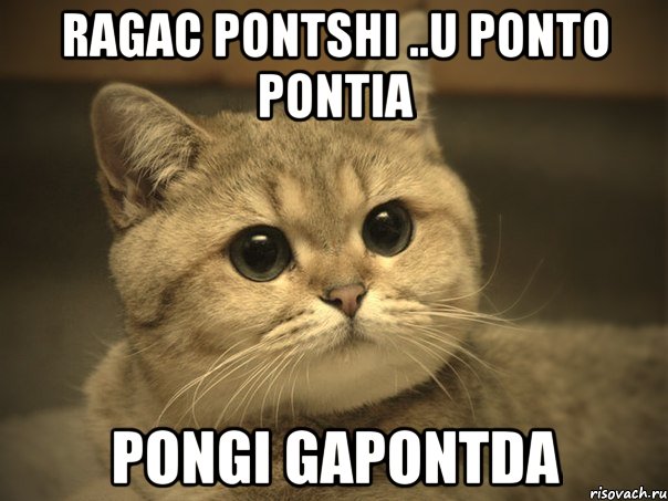 ragac pontshi ..u ponto pontia pongi gapontda