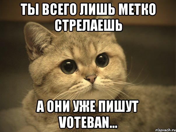 Ты всего лишь метко стрелаешь а они уже пишут voteban...