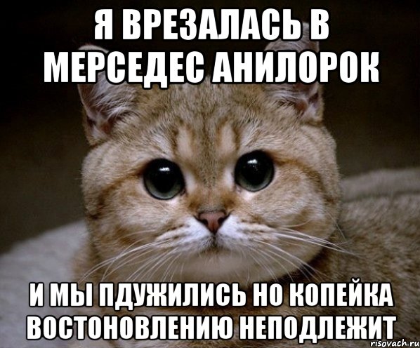 я врезалась в мерседес Анилорок и мы пдужились но копейка востоновлению неподлежит, Мем Пидрила Ебаная