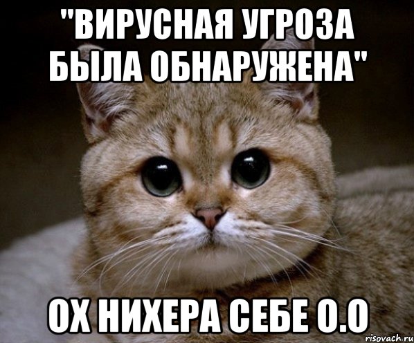 "Вирусная угроза была обнаружена" Ох нихера себе о.о, Мем Пидрила Ебаная