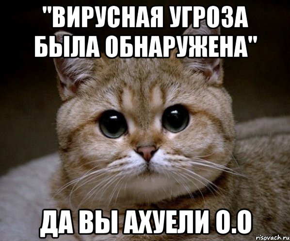 "Вирусная угроза была обнаружена" Да вы ахуели о.о, Мем Пидрила Ебаная