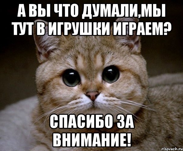 А вы что думали,мы тут в игрушки играем? Спасибо за внимание!, Мем Пидрила Ебаная