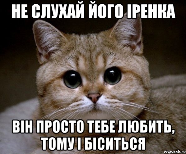 Не слухай його Іренка Він просто тебе любить, тому і біситься, Мем Пидрила Ебаная