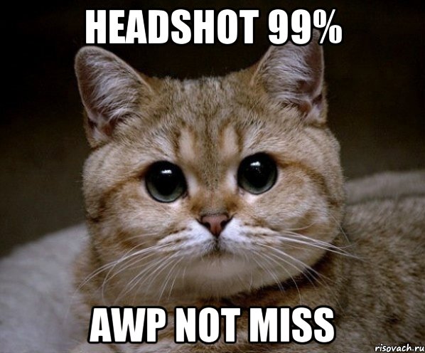 Headshot 99% awp not miss, Мем Пидрила Ебаная