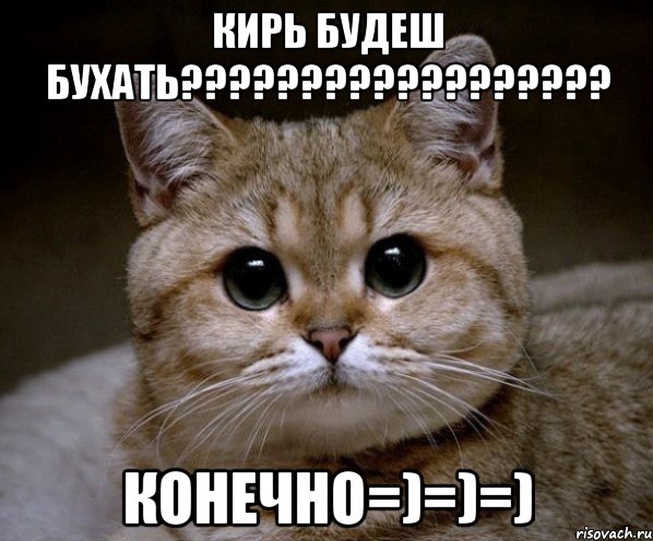 Кирь будеш бухать?????????????????? КоНеЧнО=)=)=), Мем Пидрила Ебаная