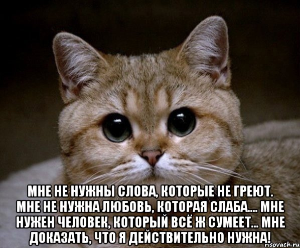  Мне не нужны слова, которые не греют. Мне не нужна любовь, которая слаба.... Мне нужен ЧЕЛОВЕК, который всё ж сумеет... Мне доказать, что я действительно нужна!, Мем Пидрила Ебаная