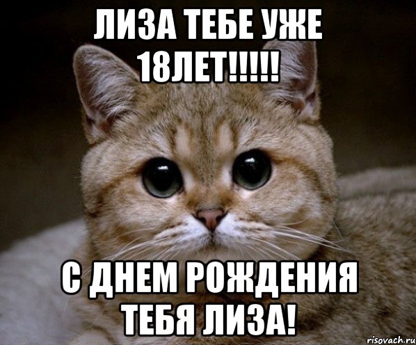 лиза тебе уже 18лет!!!!! с днем рождения тебя лиза!, Мем Пидрила Ебаная