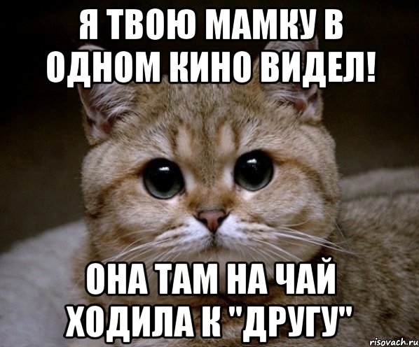 я твою мамку в одном кино видел! она там на чай ходила к "другу", Мем Пидрила Ебаная