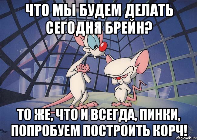 Что мы будем делать сегодня брейн? то же, что и всегда, пинки, попробуем построить корч!, Мем ПИНКИ И БРЕЙН