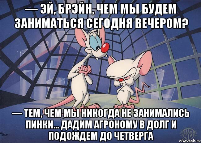 — Эй, Брэйн, чем мы будем заниматься сегодня вечером? — Тем, чем мы никогда не занимались Пинки… Дадим Агроному в долг и подождем до четверга, Мем ПИНКИ И БРЕЙН