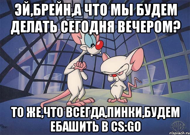 ЭЙ,БРЕЙН,А ЧТО МЫ БУДЕМ ДЕЛАТЬ СЕГОДНЯ ВЕЧЕРОМ? ТО ЖЕ,ЧТО ВСЕГДА,ПИНКИ,БУДЕМ ЕБАШИТЬ В CS:GO