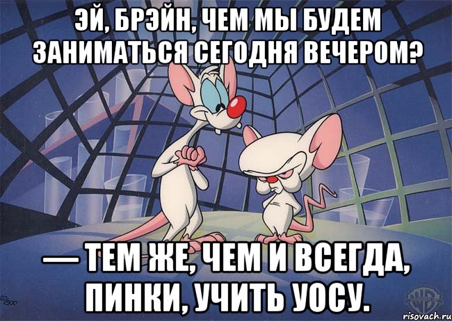 Эй, Брэйн, чем мы будем заниматься сегодня вечером? — Тем же, чем и всегда, Пинки, учить УОСУ., Мем ПИНКИ И БРЕЙН