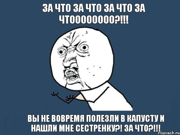 за что за что за что за чтоооооооо?!!! Вы не вовремя полезли в капусту и нашли мне сестренку?! За что?!!!, Мем  почему мем