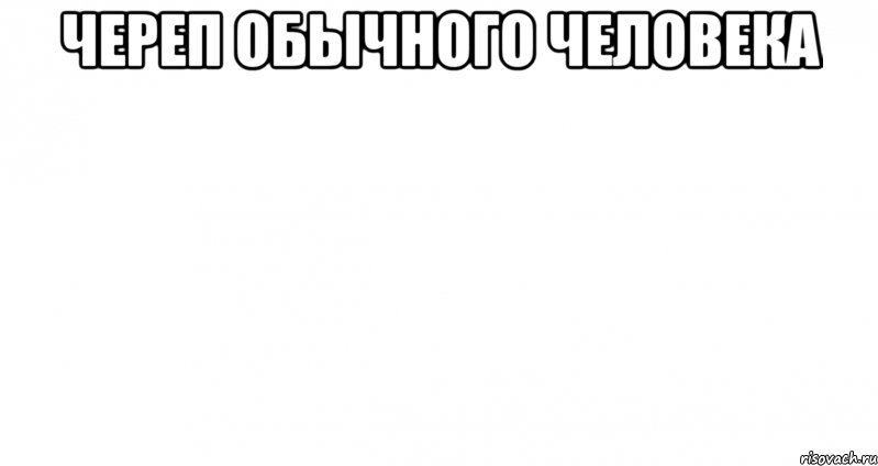 череп обычного человека , Мем Пустой лист