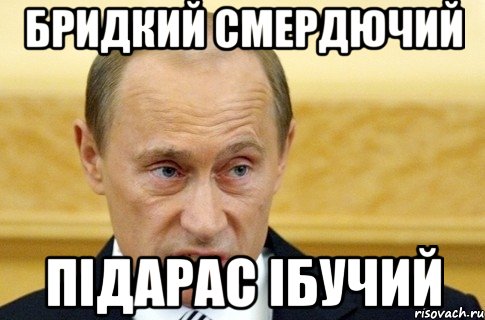 Бридкий смердючий Підарас ібучий, Мем путин