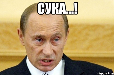 Cука...! , Мем путин