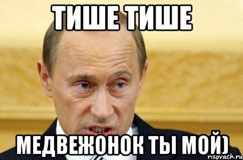 ТИШЕ ТИШЕ МЕДВЕЖОНОК ТЫ МОЙ), Мем путин