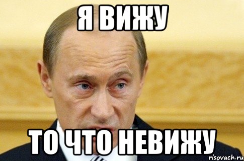 я вижу то что невижу, Мем путин