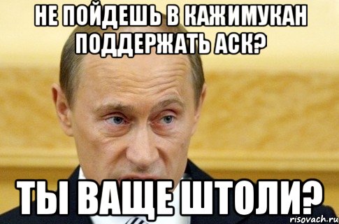 Не пойдешь в кажимукан поддержать аск? Ты ваще штоли?, Мем путин