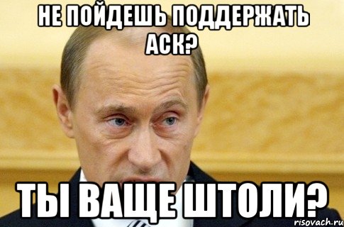 Не пойдешь поддержать аск? Ты ваще штоли?, Мем путин