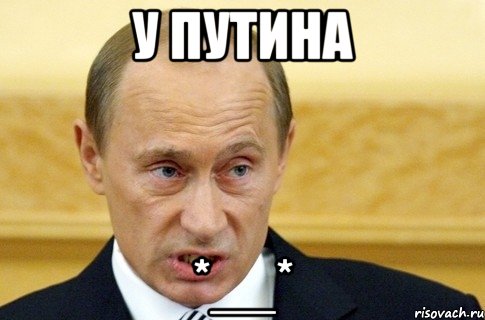 У Путина *__*, Мем путин