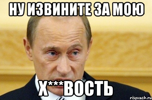 НУ ИЗВИНИТЕ ЗА МОЮ Х***ВОСТЬ, Мем путин