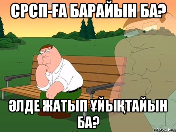 Срсп-ға барайын ба? Әлде жатып ұйықтайын ба?, Мем Задумчивый Гриффин