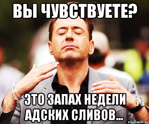 Вы чувствуете? Это запах недели адских сливов..., Мем   Дауни-младший нюхает