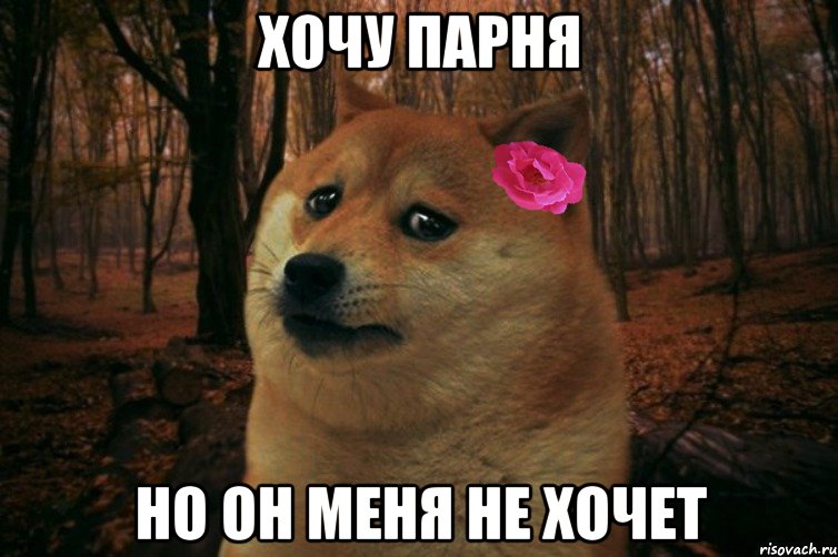 Хочу парня Но он меня не хочет, Мем  SAD DOGE GIRL