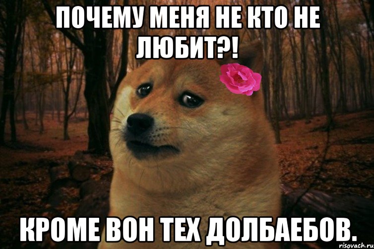 Почему меня не кто не любит?! Кроме вон тех долбаебов., Мем  SAD DOGE GIRL