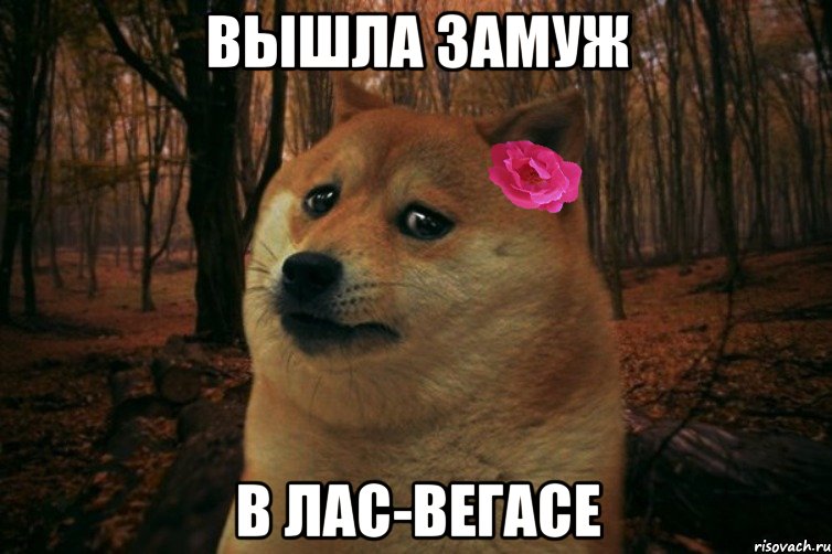 вышла замуж в лас-вегасе, Мем  SAD DOGE GIRL