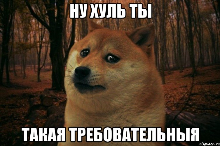 Ну хуль ты такая требовательныя, Мем SAD DOGE