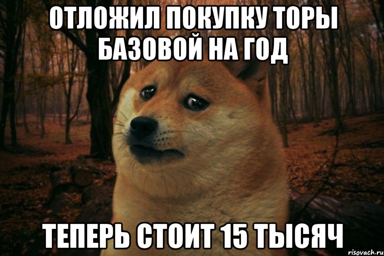 Отложил покупку Торы базовой на год Теперь стоит 15 тысяч, Мем SAD DOGE