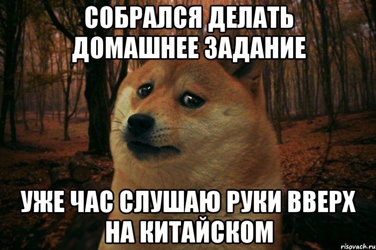 СОБРАЛСЯ ДЕЛАТЬ ДОМАШНЕЕ ЗАДАНИЕ УЖЕ ЧАС СЛУШАЮ РУКИ ВВЕРХ НА КИТАЙСКОМ, Мем SAD DOGE