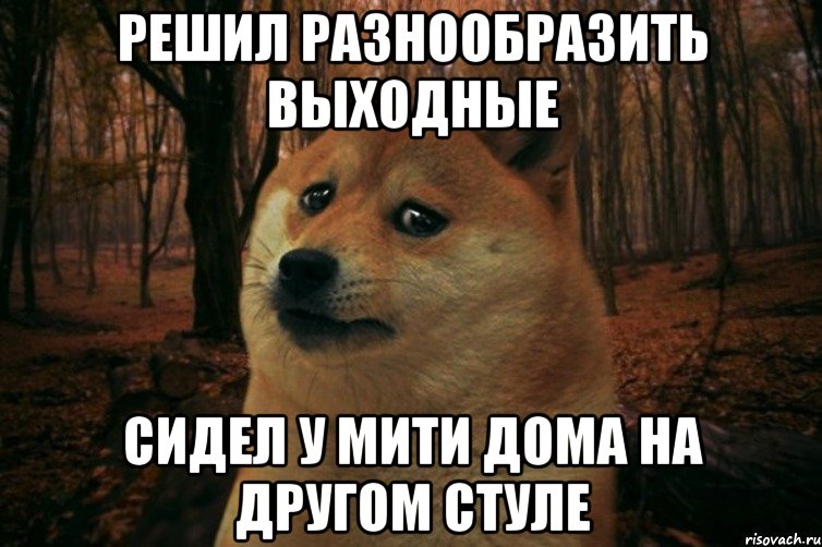 Решил разнообразить выходные Сидел у мити дома на другом стуле, Мем SAD DOGE