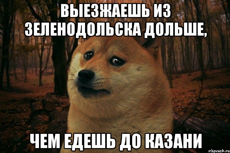 Выезжаешь из Зеленодольска дольше, чем едешь до Казани, Мем SAD DOGE