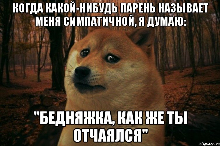 Когда какой-нибудь парень называет меня симпатичной, я думаю: "Бедняжка, как же ты отчаялся", Мем SAD DOGE