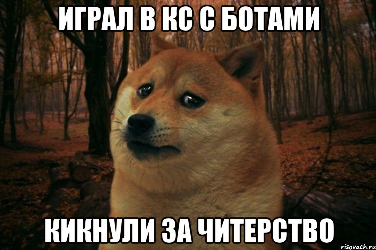 ИГРАЛ в КС С БОТАМИ КИКНУЛИ ЗА ЧИТЕРСТВО, Мем SAD DOGE