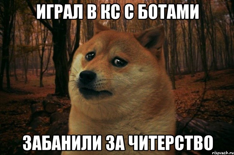 ИГРАЛ В КС С БОТАМИ ЗАБАНИЛИ ЗА ЧИТЕРСТВО, Мем SAD DOGE