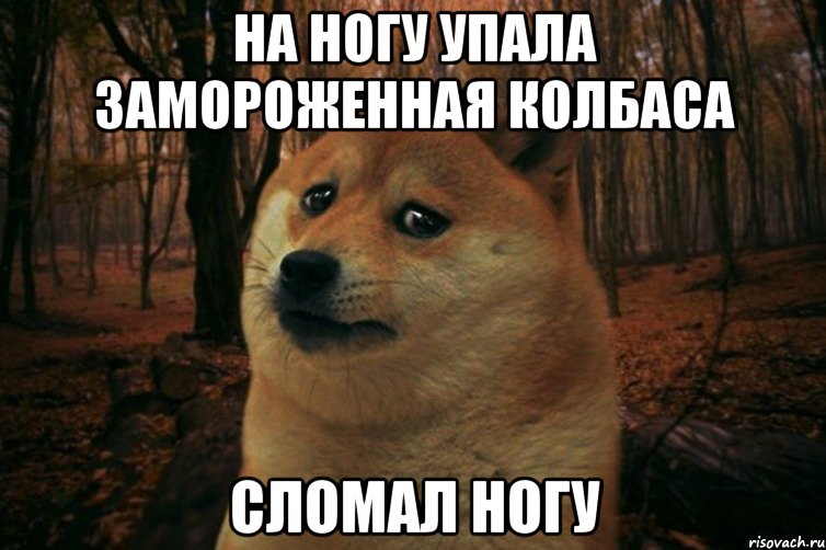 На ногу упала замороженная колбаса сломал ногу, Мем SAD DOGE