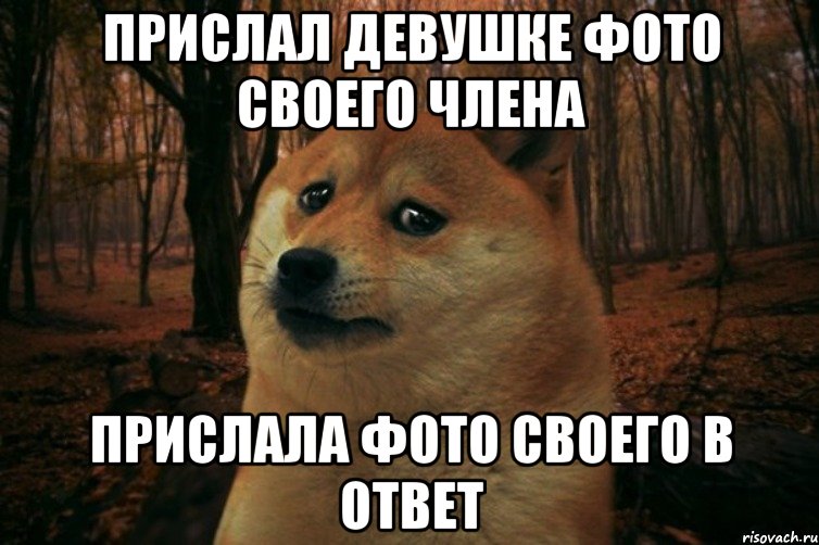 Прислал девушке фото своего члена прислала фото своего в ответ, Мем SAD DOGE