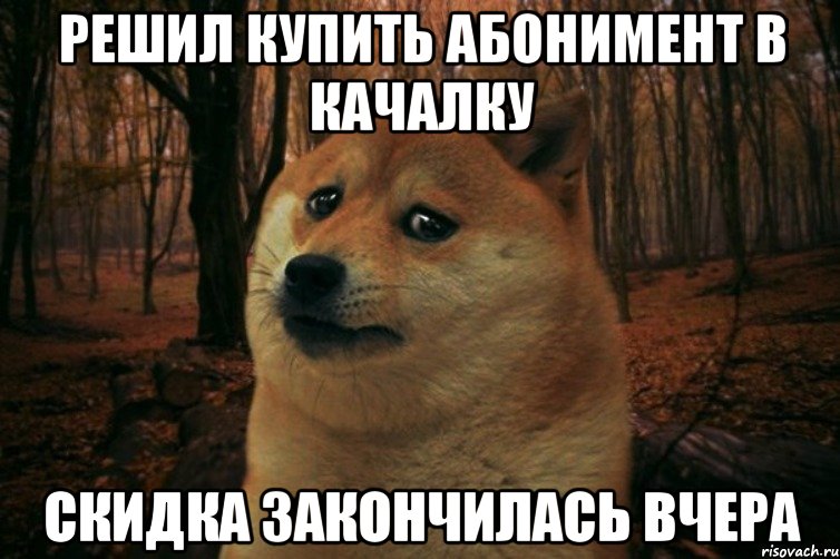 решил купить абонимент в качалку скидка закончилась вчера, Мем SAD DOGE