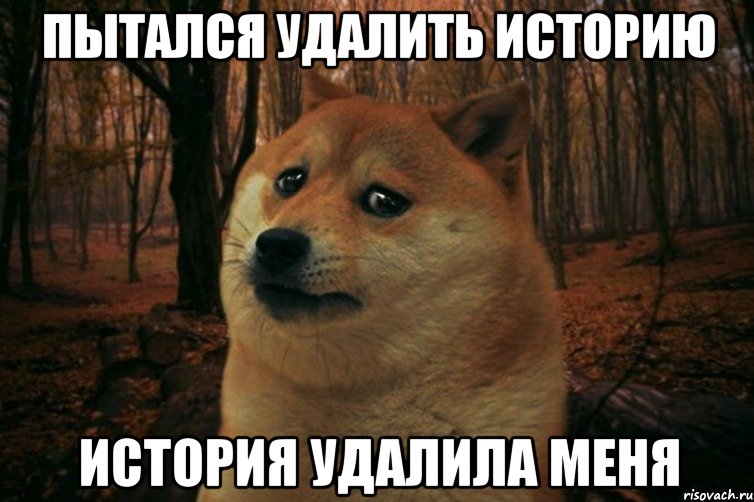 Пытался удалить историю История удалила меня, Мем SAD DOGE